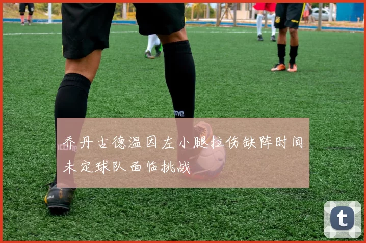 乔丹古德温因左小腿拉伤缺阵时间未定球队面临挑战
